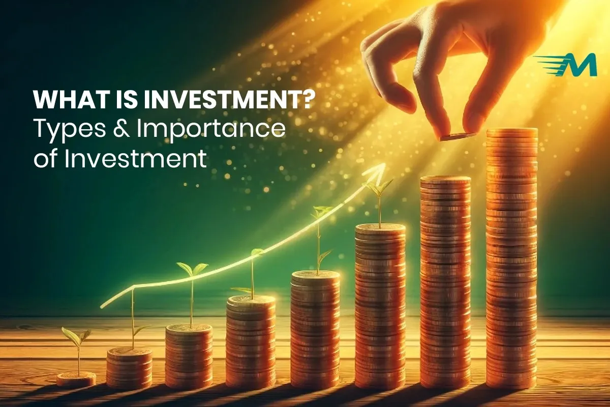 What is Investment? Types & Importance of Investment
