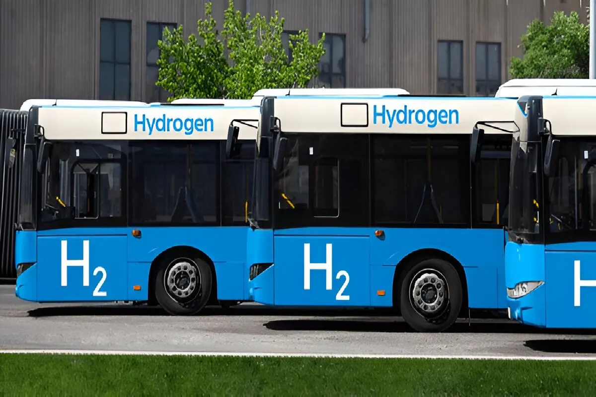 Hydrogen-Fueled Buses Images