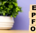 EPFO Membership Growth Soars: 19.14 Lakh New Members Added in April 2025
