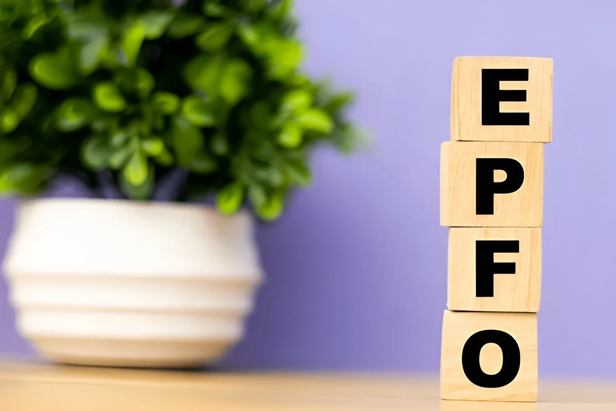 EPFO Membership Growth Soars: 19.14 Lakh New Members Added in April 2025