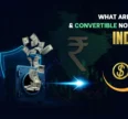 What are SAFE & Convertible Notes in India?