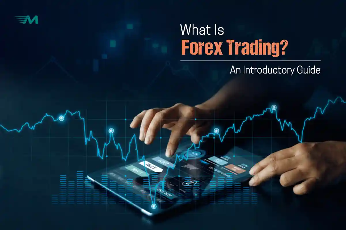 What Is Forex Trading? An Introductory Guide